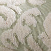 fern